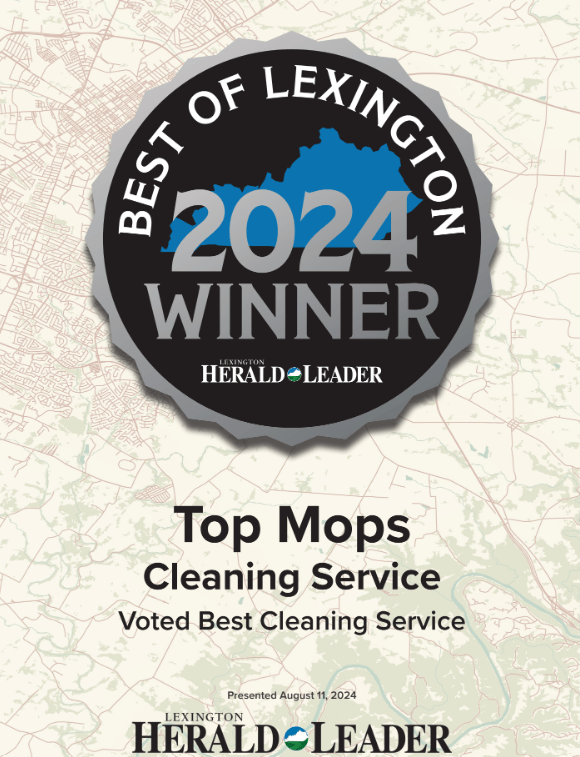 best cleaning service 2024