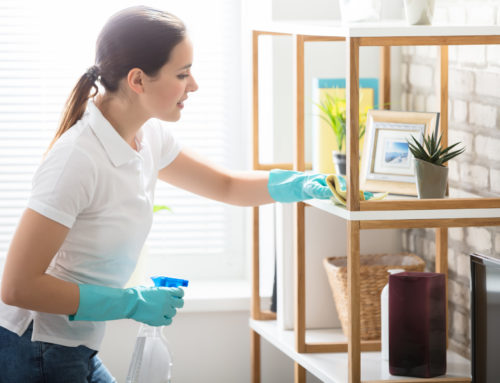 Lexington’s Top Cleaning Hacks: Maintaining a Fresh and Tidy Home