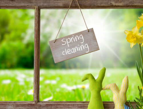 Spring into Clean with Top Mops: Lexington’s Premier Choice