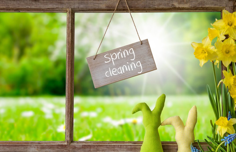 eco friendly spring cleaning