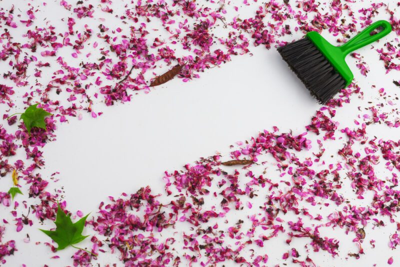 EcoFriendly Cleaning Clearing the Path to Allergy Bliss by Banishing