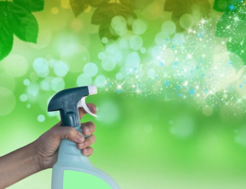 Green Cleaning: A Sustainable Choice for a Cleaner Home